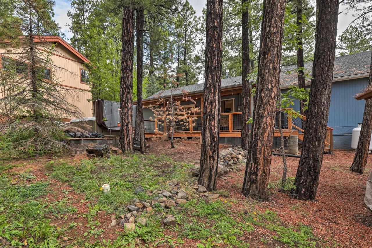 Pet-Friendly Munds Park Cabin With Hot Tub And Patio Extérieur photo